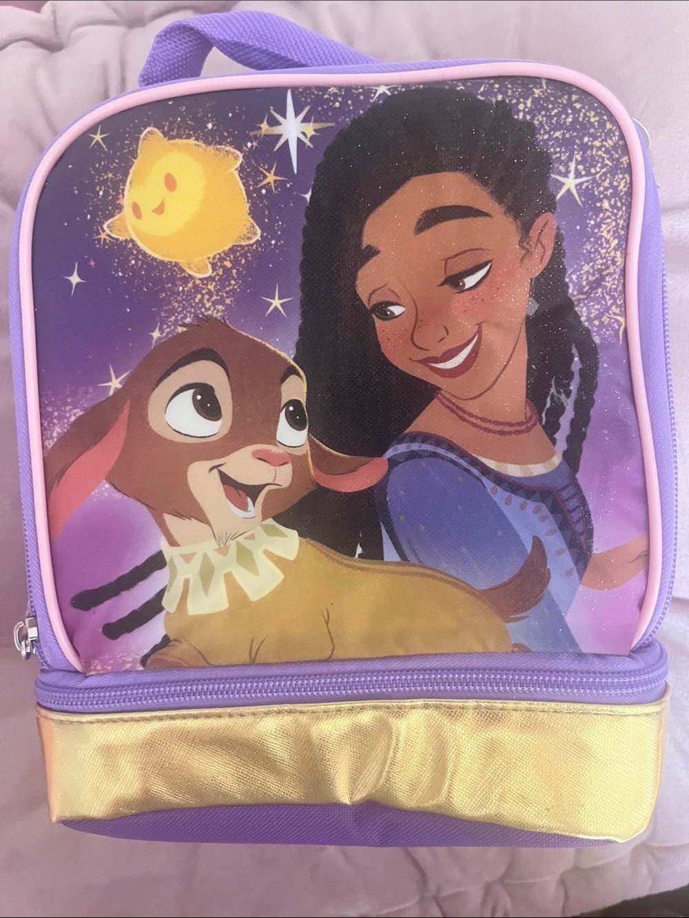 Disney Wish Lunch bag